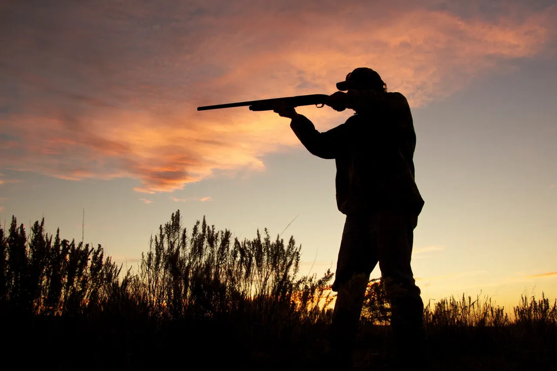 Lethal Means Safety Counseling And Why It Matters
